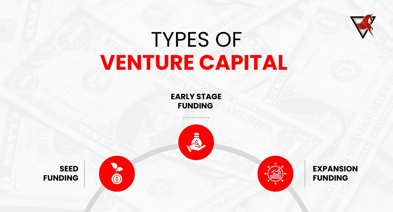 How Does Venture Capital Work